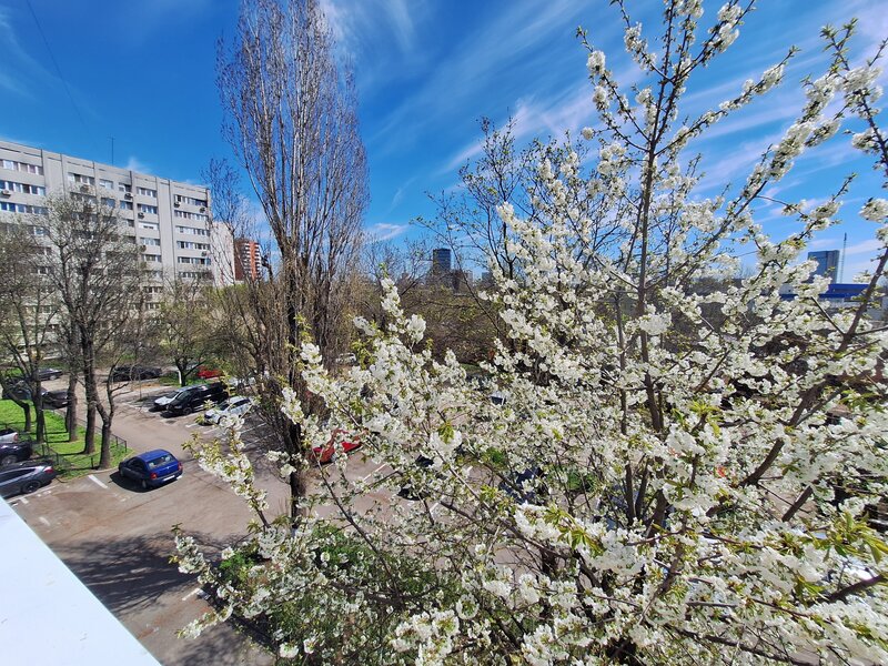 Bucurestii Noi, Pajura, Jiului, Poligrafiei.